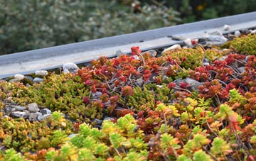 the cost of Goathland green roof installation