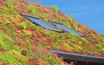 Goathland living roof systems