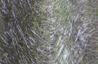 Goathland fibreglass roof work